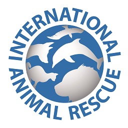 International Animal Rescue