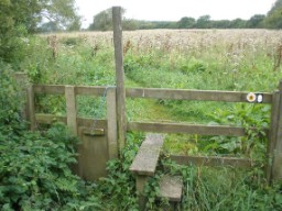 Step Stile With Dog Gate