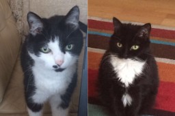 Meet The Fuzzy Ladies
