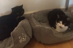Nest Time