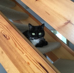 Stop Stair-ing At Me