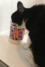 Mug Shot