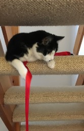 Red Ribbon Day