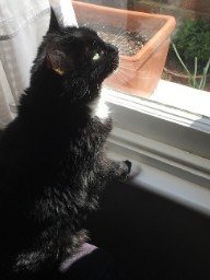 Much More Matilda