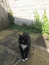 Matilda Out Back