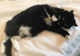 Matilda In The Morning