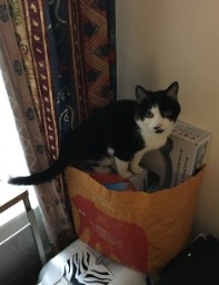 Old Kit Bag