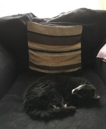 Settling In Just Fine